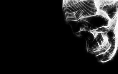 White Wire Skull on Black HD Wallpaper
