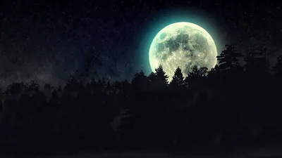 Teal Full Moon over Black Pines HD Wallpaper