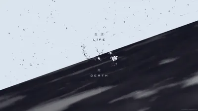 Life & Death Contrast Live Wallpaper for Mac & Windows