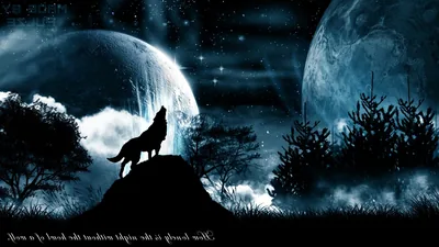 Cool Pictures of Wolves Wallpapers images