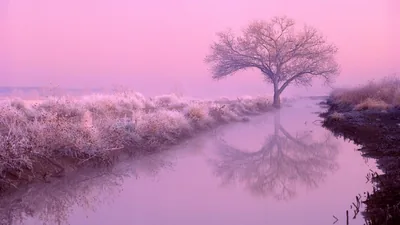 Pink Aesthetic 4k Wallpapers