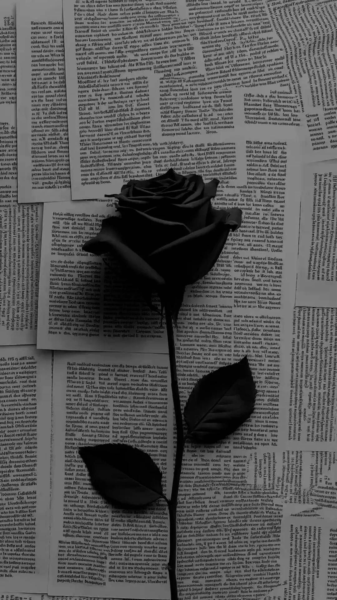 Black roses aesthetic wallpaper iphone