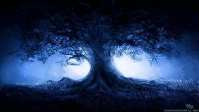 Old Tree in Blue Moonlight HD Wallpaper