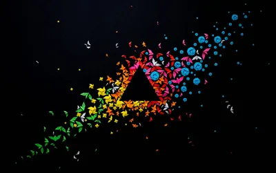 Colourful Butterfly Triangle on Black HD Wallpaper