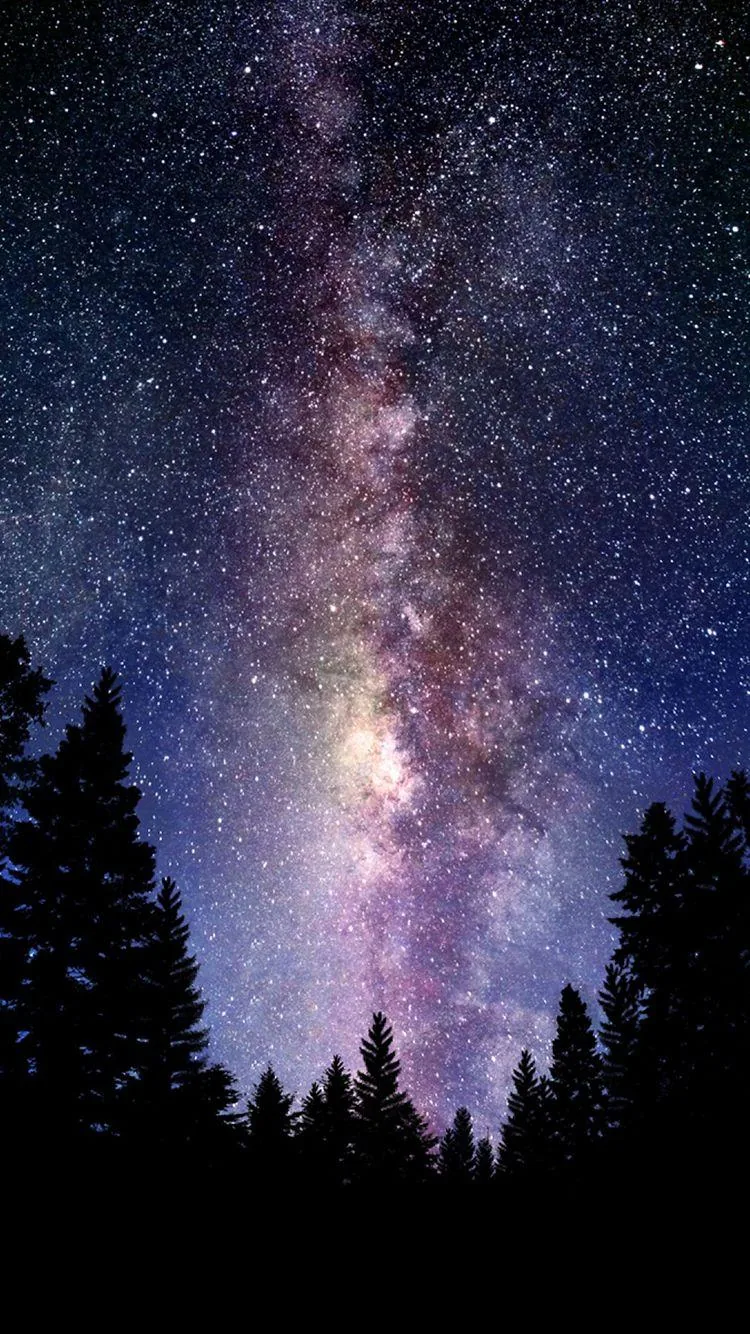 The galactic core climbs a violet sky between black pine silhouettes; trees frame both edges, leaving the bright band centred for a phone screen.