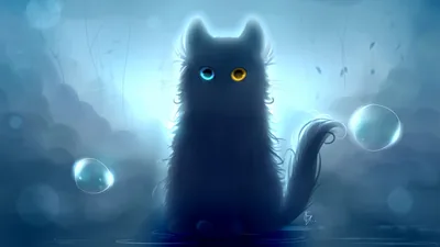 wallpaper, heterochromia, black, art widescreen hd back