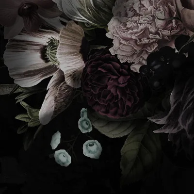Moody Dark Floral Still Life HD Wallpaper