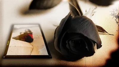 Rose 3D Black Love Wallpaper