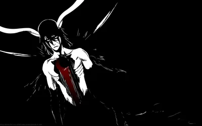 Black Wallpaper
