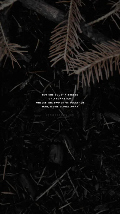 Pine Needles on a Dark Forest Floor HD Phone Wallpaper