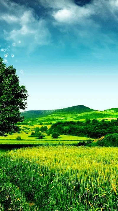 Nature Android Hd Wallpapers