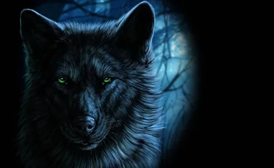 Top Cool Black Wolf Wallpaper Full HD, 4K Free to Use