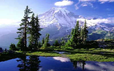 Glaciated Peak Above a Mountain Meadow HD Wallpaper