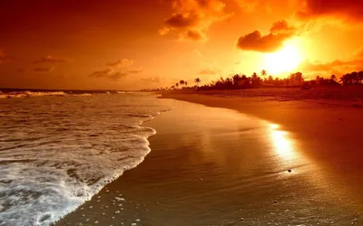 Copper Sky Over a Green-Tinted Shore HD Wallpaper