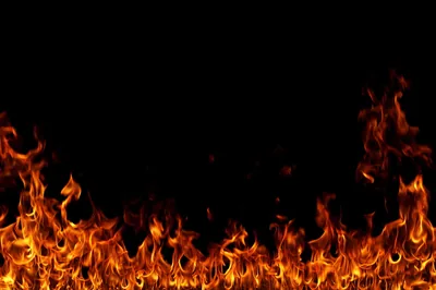 Majestic Fire Flames on Black Background