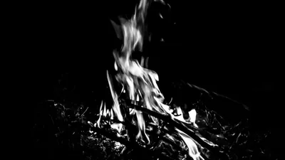 Bonfire Fire Flame Black Background HD Black Background Wallpapers
