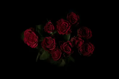 Black Roses Wallpaper Desktop Wallpaper