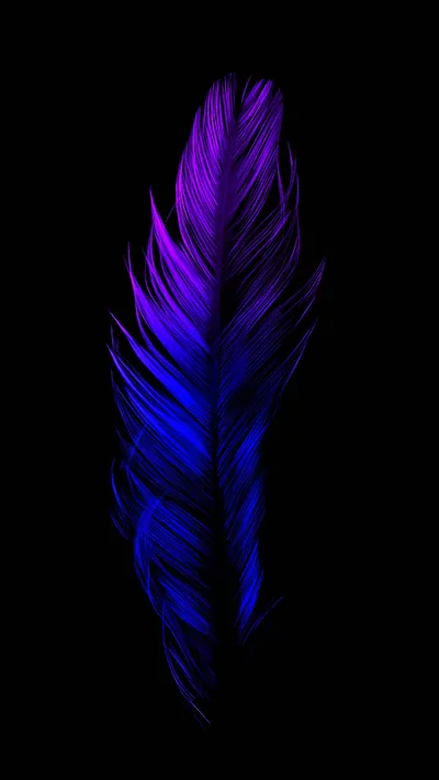 Black Feather Background
