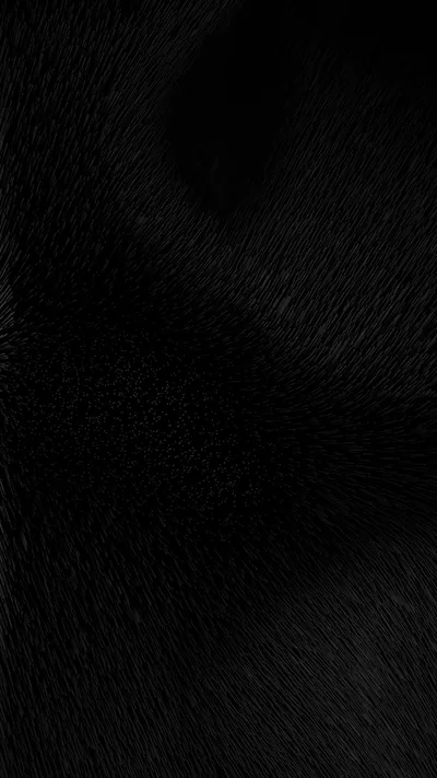 Short Dark Fur with a Curved Shadow HD Phone Wallpaper