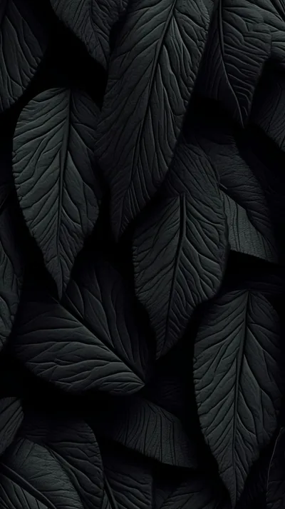 Background Black Pattern