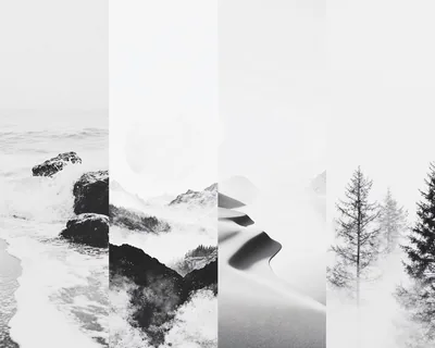 Minimalist Nature Panels in Monochrome HD Wallpaper