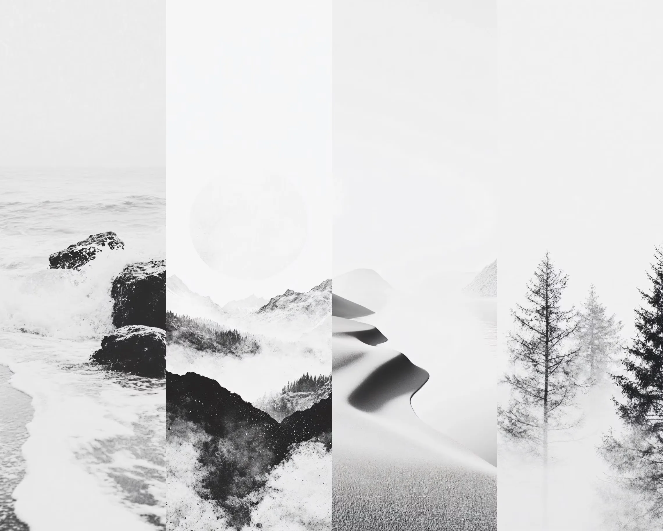 Four narrow panels side by side: a rocky coastline, a misted peak, wind-smoothed snow dunes, and a single spruce in haze.