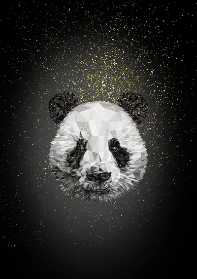 Black Panda Wallpapers Black Panda Backgrounds