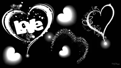 Brushed White Hearts and Love Script HD Wallpaper