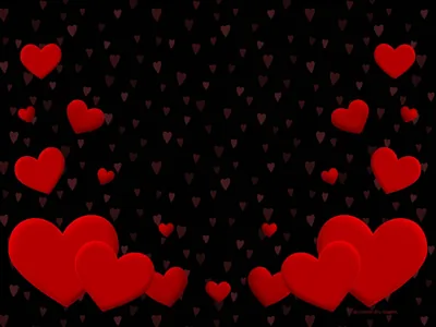 Red Hearts Clustered in the Corners HD Wallpaper