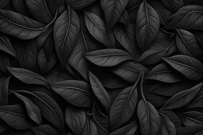 All Black Wallpaper Sheet Wallpaper