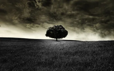 4k Dark Theme Wallpapers For Pc