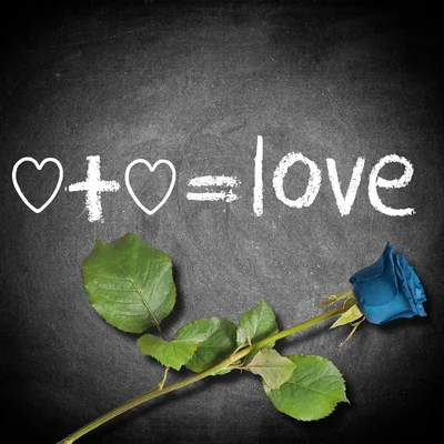 Free Images blackboard, chalk, write, dedicate, love, feelings, green, text, leaf