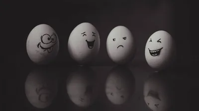 Funny Face Expressions Eggs Reflection On Floor Black Background HD Funny Background