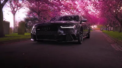 Live wallpaper Black Audi RS6 and rose trees on VSThemes