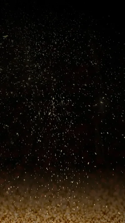Dust Black Wallpaper