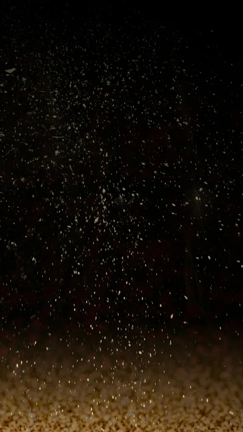 Dust Black Wallpaper