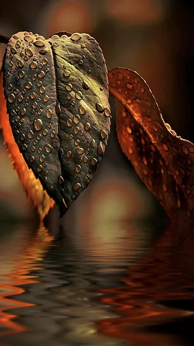 AMOLED Android Wallpaper