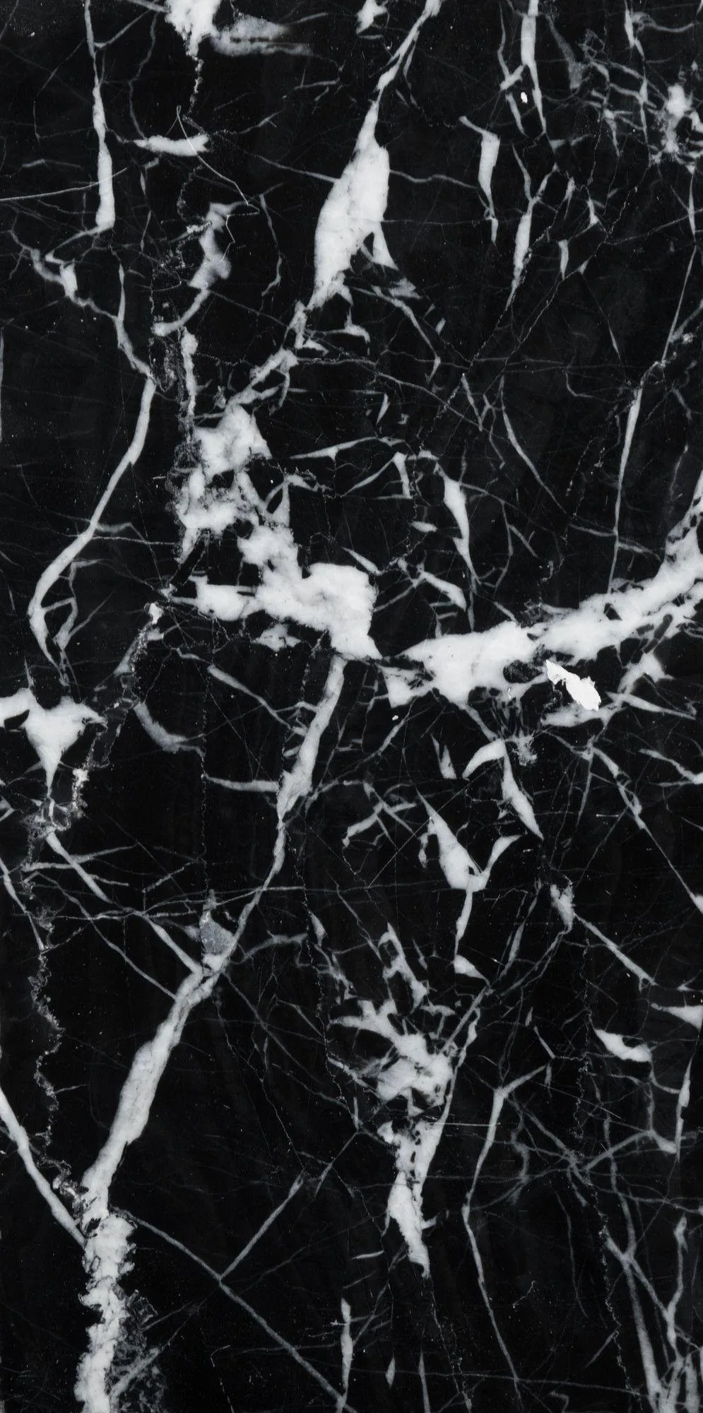 Broad ragged white veins run the full height of the tall slab, thickest along the left edge, with only small pockets of plain black left between them.
