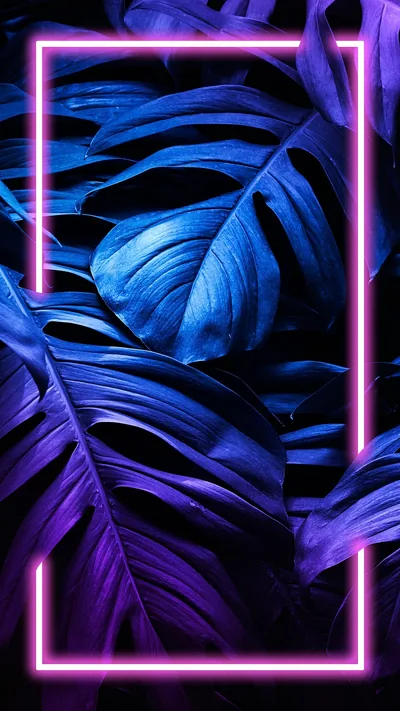Tropical Leaves Behind a Neon Frame HD Phone Wallpaper