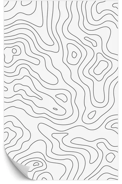 Topographic Theme Wallpaper