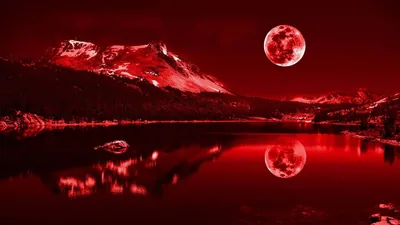 Red Wallpaper