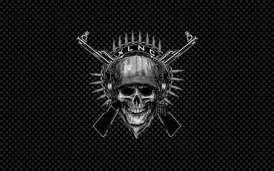 Military Skull Emblem on Carbon Fibre HD Wallpaper