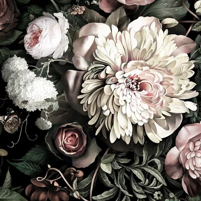 Black Floral Backgrounds