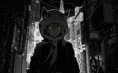 Hooded Boy with Cat Ears in an Alley HD Wallpaper