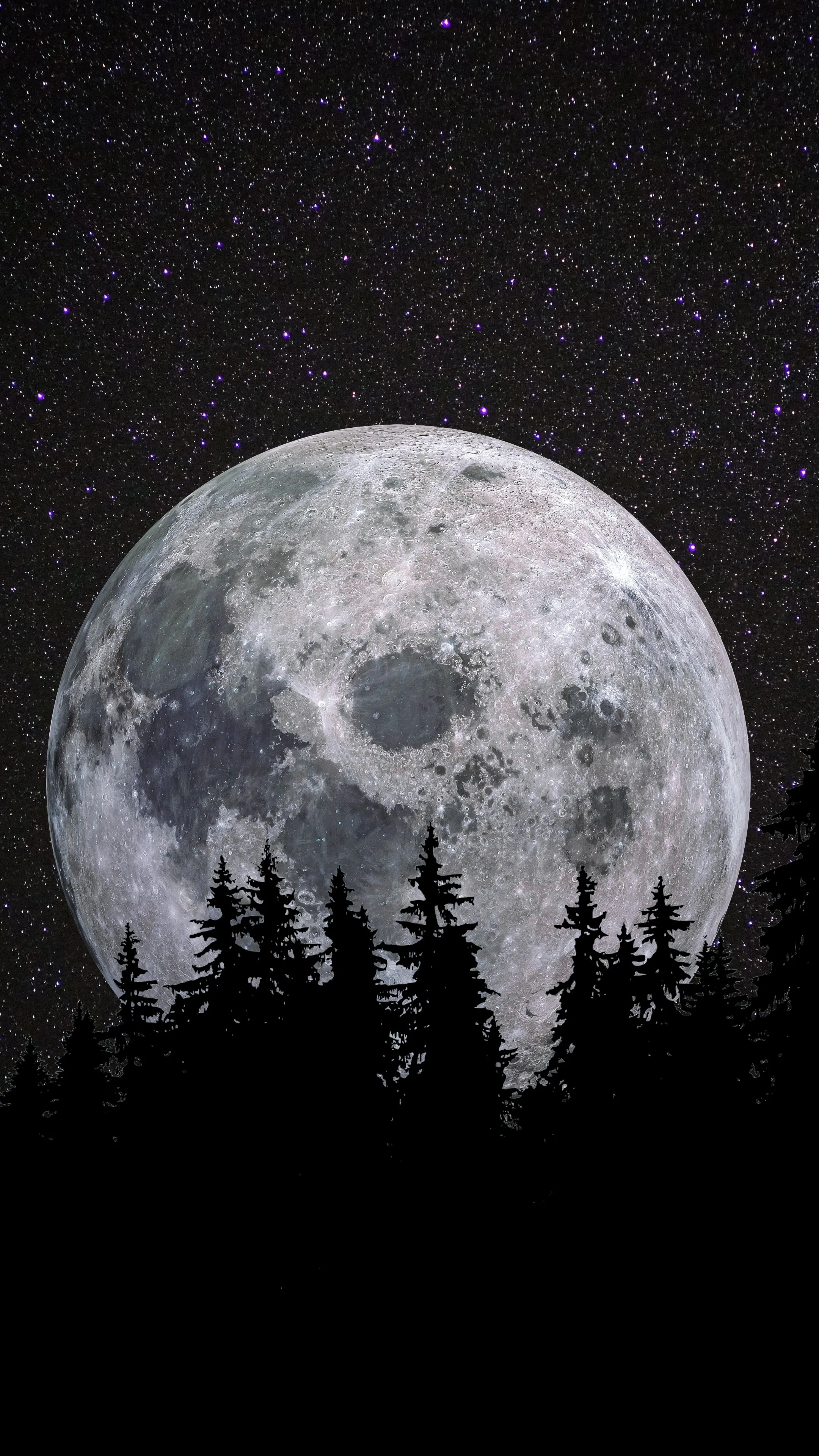 An oversized moon fills the sky behind a jagged line of black pine tops, its crater detail sharp against a dense starfield.