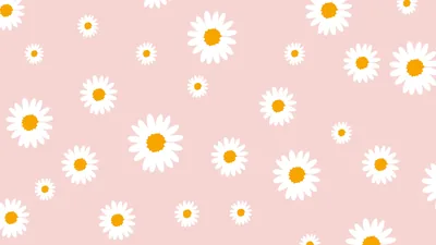 Best Free Blush Pink Wallpaper for Desktop Aesthetic Pink Backgrounds