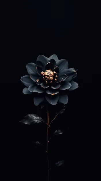 Dark Aesthetic Flower Wallpaper Images