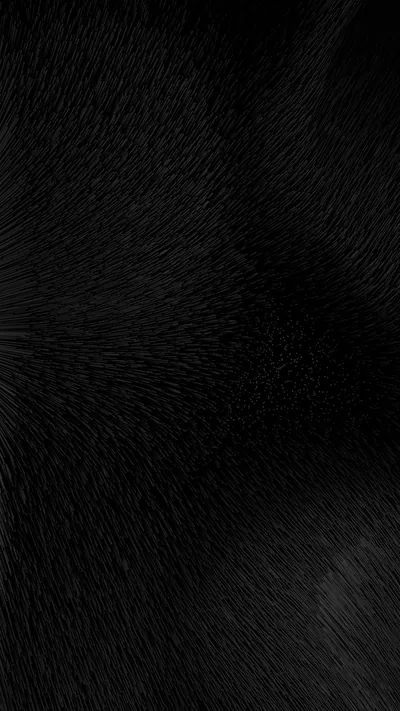 Black Fur Sweeping Down a Tall Frame HD Phone Wallpaper