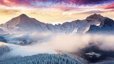 Pastel Dawn Over a Winter Range HD Wallpaper
