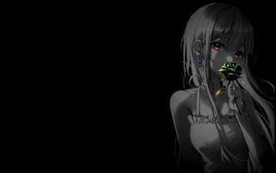 Anime Girl Holding a Rose in the Dark HD Wallpaper